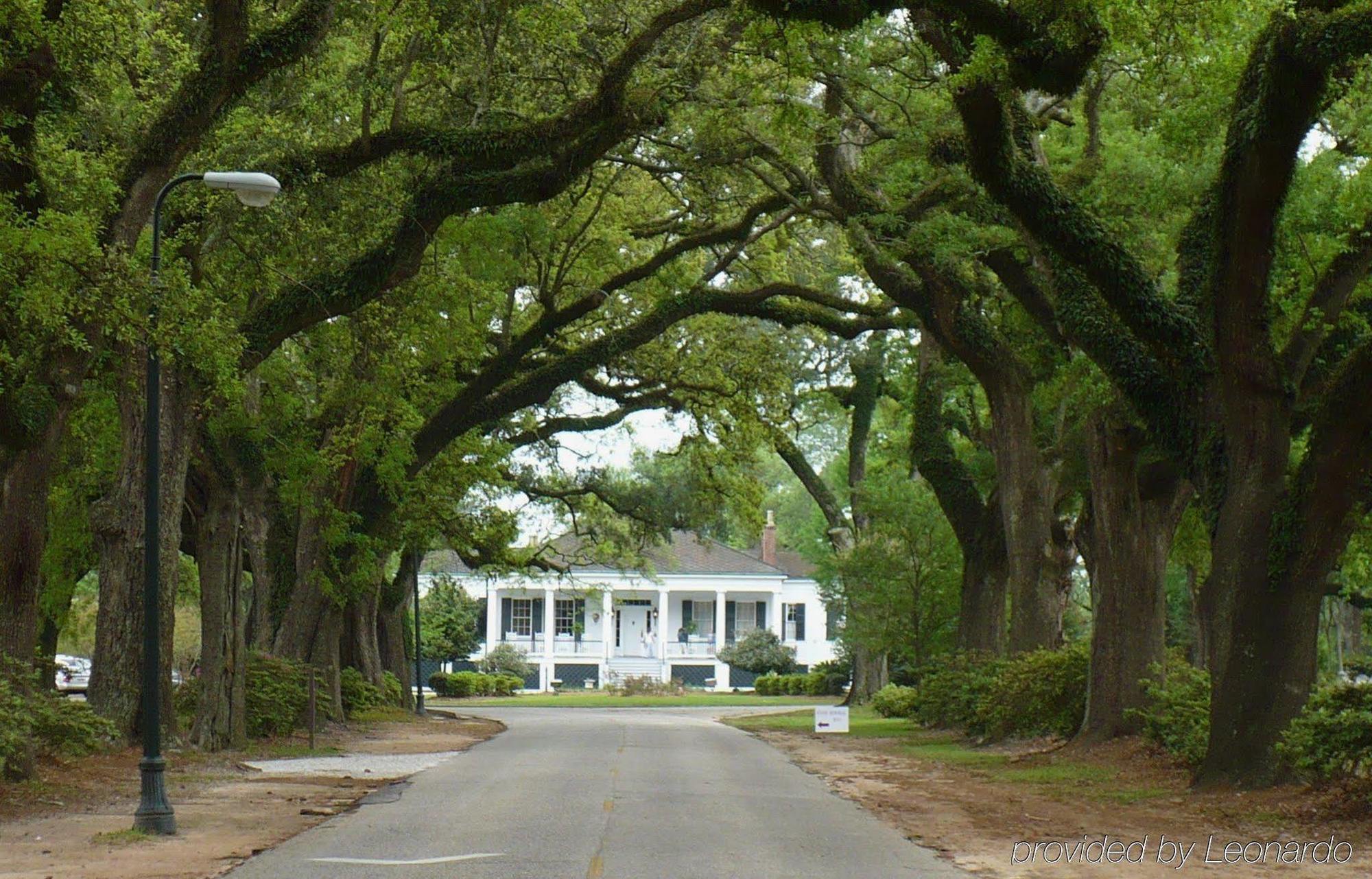 Sleep Inn & Suites North Mobile Saraland Eksteriør billede